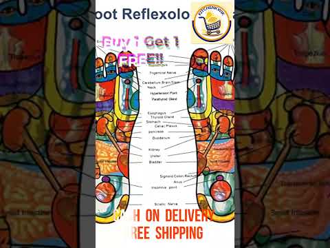 Buy 1 GET 1 Free !! Kinoki Cleansing Detox Foot Pads Ginger  Salt Foot Patch -10pcs (Free Size White)